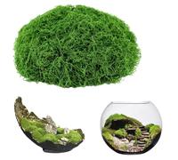 ddckj 200g Muschio Stabilizzato Verde Scuro Muschio Finto per Decorazioni per Lavori Artigianali Decorazioni Natalizie da Giardino e da Tavola