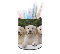 DDTKLSNV Golden Retriever Puppies portapenne portapenne PU portapenne porta pennelli da trucco impermeabile organizer per penne da scrivania per accessori da scrivania per ufficio
