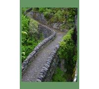 De amor y otras desgracias