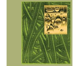 De Beren Gieren - Less Is Endless