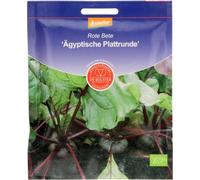 De Bolster Barbabietola "Piatta d'Egitto" - 8 g