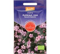 De Bolster Saponaria Vaccaria Rosa - 4 g