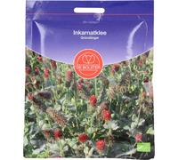 De Bolster Trifoglio Incarnato per Sovescio - 75 g