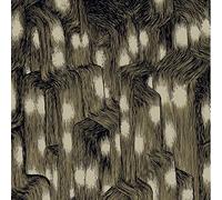 Uptown - Trevor De Brauw (Vinile)