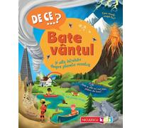 De ce? Bate vantul si alte intrebari despre planeta noastra - Anita Ganeri