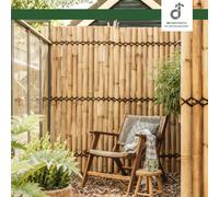 DE-COmmerce GmbH & Co.KG Paravento in bambù Recinto da giardino XXL Slim (Lxa)
