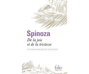 De la joie et de la tristesse: Et autres chapitres du Court traité