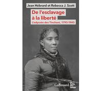 De l'esclavage à la liberté: L'odyssée des Tinchant, 1793-1945