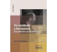 De sombras y fantasmas. Una reflexión a partir de El Sur: 2