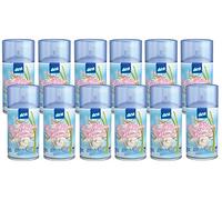 DEA SET 12 RICARICHE SPRAY ROSA BIANCA E BAMBU 250 ML