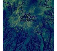 Dead Confederate - In The Marrow