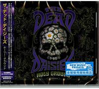 Dead Daisies - Holy Ground