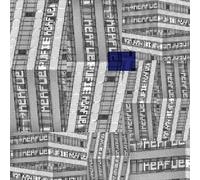 DEAD NAKED HIPPIES/FLING/ - 4X12" VOL.5-LTD/DOWNLOAD-