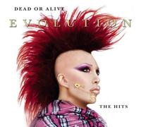 Dead Or Alive - Evolution. The Hits