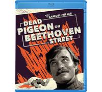 Dead Pigeon On Beethoven Street