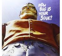 Dead Shrimp - How Big Is Your Soul ?