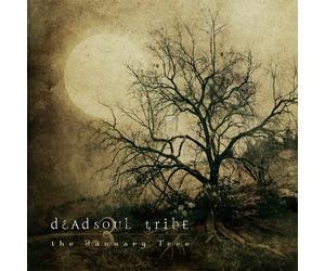 Dead Soul Tribe - January Tree
