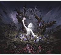 Dead Venus - Flowers & Pain