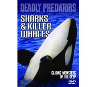 Deadly Predators - Sharks And Killer Wha [Edizione: Regno Unito]