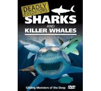 Deadly Predators Sharks Killer Whale [Edizione: Regno Unito] [Edizione: Regno Unito]