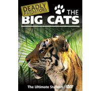 Deadly Predators The Big Cats [Edizione: Regno Unito] [Edizione: Regno Unito]
