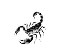Deadly Scorpion Impermeabile Semi-Permanente E di Lunga Durata 2 Settimane Adesivi per Tatuaggi Temporanei per Uomini e Donne Dito Petto Braccio Indietro(3pcs)