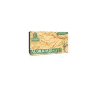 AUSILIUM 20 PLUS
