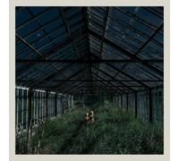 Dealer (CD) Foxing