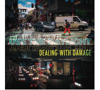 Dealing With Damage Use the Daylight (Vinyl LP) 12" Album