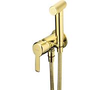 Deante Arnika rubinetto per bidet da incasso oro BQAZ34M