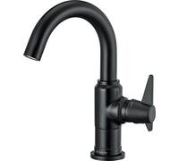 Deante; Rubinetto del lavandino TEMISTO (BQT_N21M); Colore: nero