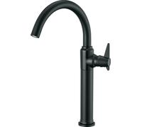 Deante Temisto rubinetto per lavabo verticale nero BQT_N20K