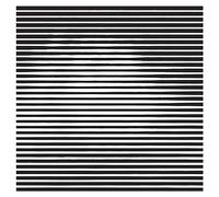 Deantoni Parks - Deantoni Parks / Technoself Live At Clouds Hill