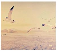 Dear Cloud - Take The Air