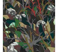 Dear Reader We Follow Every Sound (CD) Album