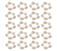 DEARMAMY 120 Pezzi Conchiglie Naturali Decorative Accessori Artigianali | Conchiglie Perforate Elettroplaccate, Aspetto Naturale Delicato, Pratiche e Resistenti, per Scarpe, Cappelli e Idee Creative