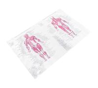 DEARMAMY Poster di Anatomia della Struttura Scheletrica 40X60 CM in Seta Resistente Poster Scheletrico Educativo Decorativo da Appendere per Studio e Insegnamento