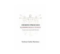 Debido proceso y jurisprudencia viviente: La persona en el centro del derecho