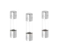 Deblex 715846 - Fusibile elettronico, fusibile 2A, fusibile a fusione rapida, confezione da 3 fusibili in vetro, 5 x 20 2 Ampere