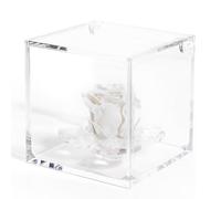 Debora Carlucci Rosa Stabilizzata Vera con 4 Petali in Cristallo Eterna in Cubo Idea Regalo Donna Compleanno Anniversario Matrimonio Festa della Mamma Bomboniera Blu-Bianco-Rosa-Rossa (Panna)