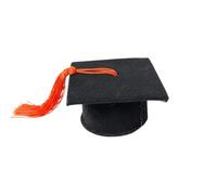 Debora Carlucci Scatola Bomboniera Laurea Cappello Contenitore Portaconfetti in Simil Velluto 6x4 cm Ideale per Lauree Diplomi Confettate Nero (15, Cappellino Accademio)