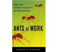 Deborah Gordon Ants At Work (Tascabile)