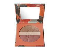 Deborah Maxi Terra Tropical Bronze SPF15 01 Light