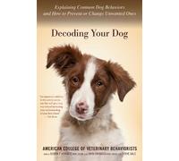 Decoding Your Dog: Explaining Common Dog Behaviors And How To Prevent Or Change Unwanted Ones