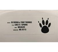 Debra & Tony Thomas - Like It/Spring