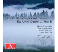 DEBUSSY / RAVEL / FAURE Wallace: pale reflections (CD)