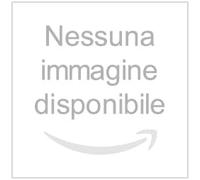 DECA FLASH LIQUIDO 4,5 L.