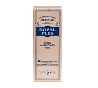 Deca Laboratorio BORAL PLUS SPRAY AURICOLARE 100 ML