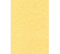 Decadry pcl1676 Scatola di 50 fogli A4 165 g pergamena oro