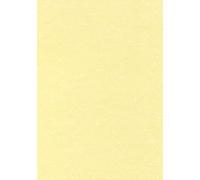Carta pergamenata Decadry Linea Corporate A3 champagne 165 g/m² Conf. 25 fogli -